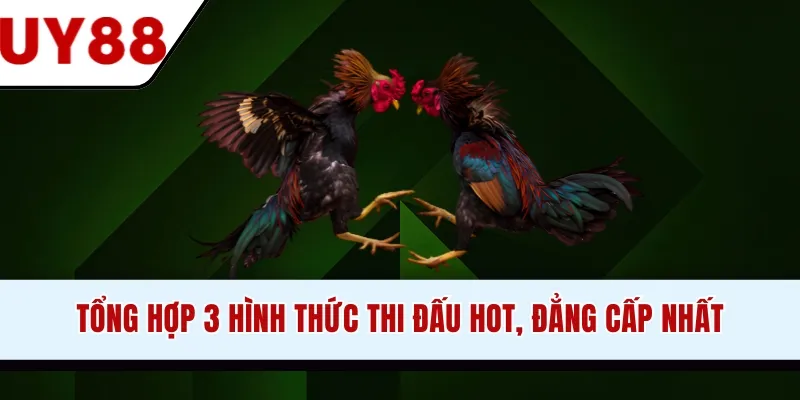Tổng hợp 3 hình thức thi đấu hot, đẳng cấp nhất
